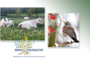 SPIRITUELE NATUURWANDELINGEN