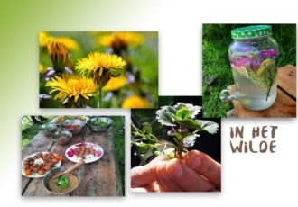 Eetbare wilde plantenwandeling