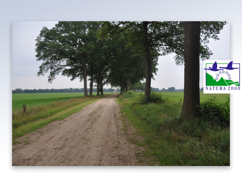 PS stemmen met moties  in met Natura 2000-gebied Lemselermaten