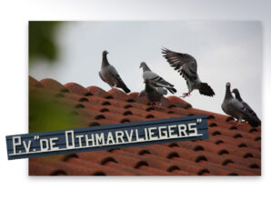 Francien van ‘buurman Bert’ wint zware Dagfondvlucht