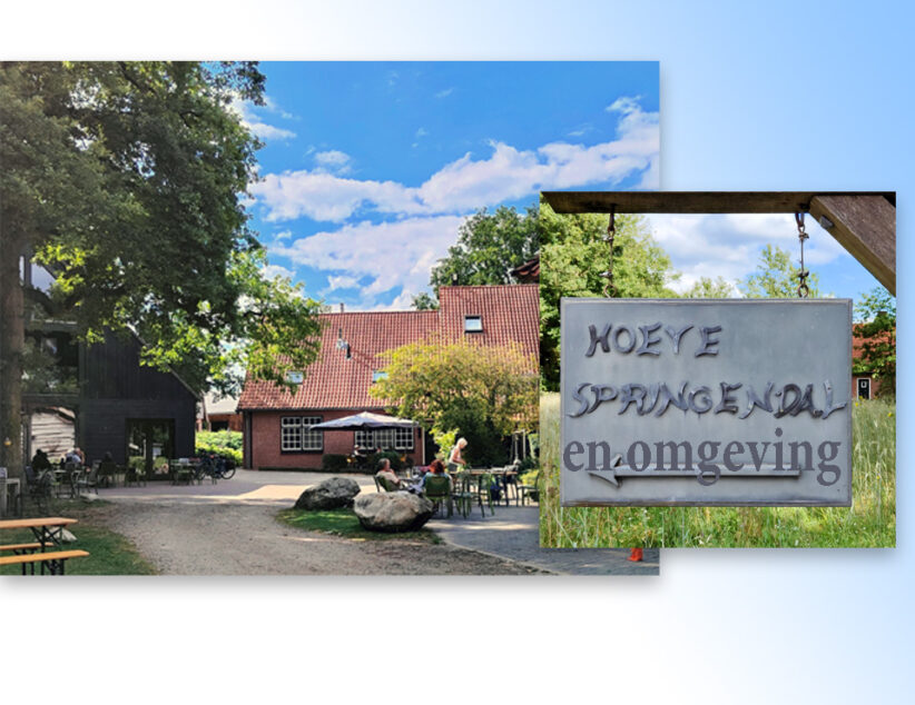 ‘Hoeve Springendal’ door de ogen van Henriet Offrein