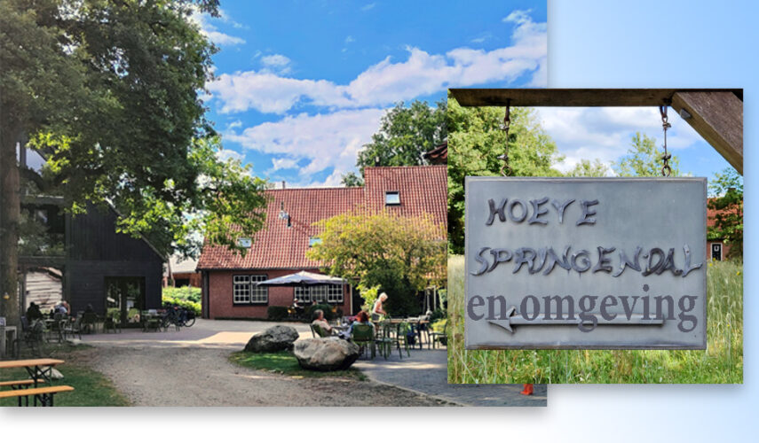 ‘Hoeve Springendal’ door de ogen van Henriet Offrein