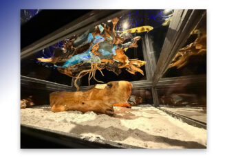 Primeur op de Kunstmarkt: ‘Nautische voorstelling The Hunt’