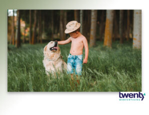 Wat honden ons leren over genieten van kleine momenten
