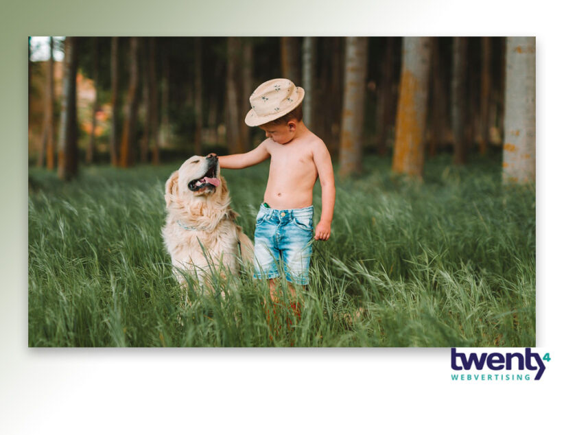 Wat honden ons leren over genieten van kleine momenten