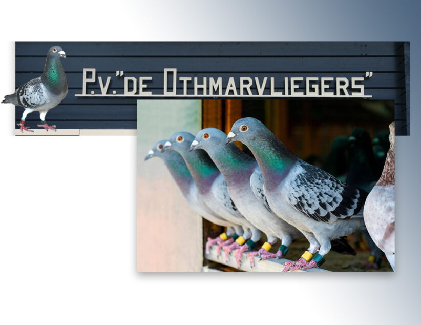 “Ik doe niet mee” en toch winnen