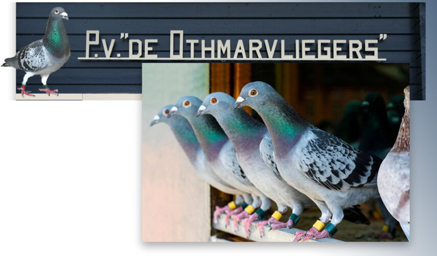 “Ik doe niet mee” en toch winnen