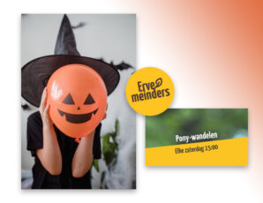 Mooie activiteiten in de herfstvakantie bij Erve Meinders