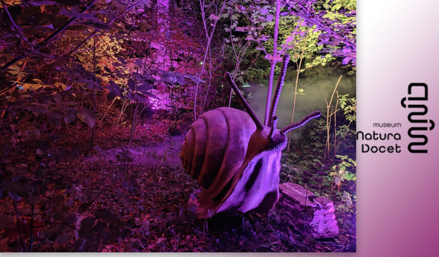 Avontuur in het donker in het  Museum Natura Docet