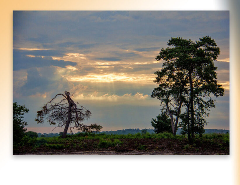 Ontwerp-projectbesluit Engbertsdijksvenen