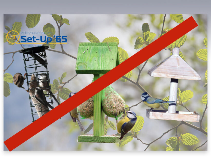 Vogelactie Lammerink Set-Up ’65 gaat niet door