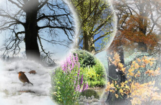 Wandelcyclus ‘Aardebezieling’