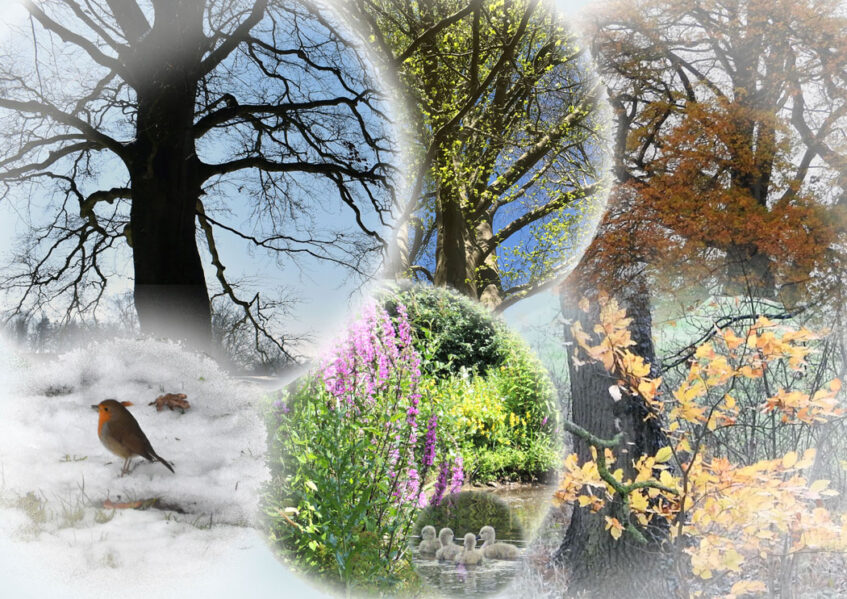 Wandelcyclus ‘Aardebezieling’