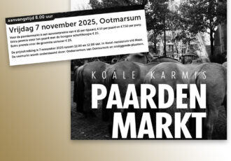 ‘Koale’ Karmis Paardenmarkt