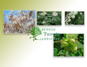 Gratis bosplantsoen voor grondeigenaren