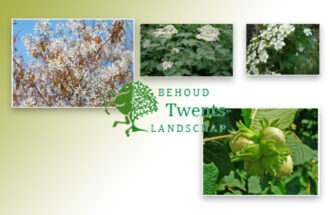 Gratis bosplantsoen voor grondeigenaren