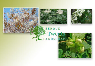 Gratis bosplantsoen voor grondeigenaren