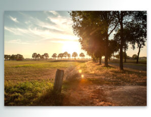 November als Maand van het Digitale Erfgoed
