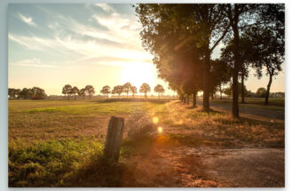 November als Maand van het Digitale Erfgoed