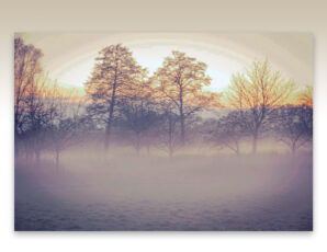 Herfst glijdt de winter in