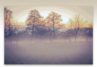 Herfst glijdt de winter in