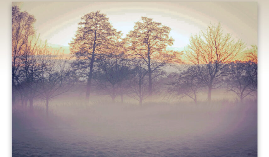 Herfst glijdt de winter in