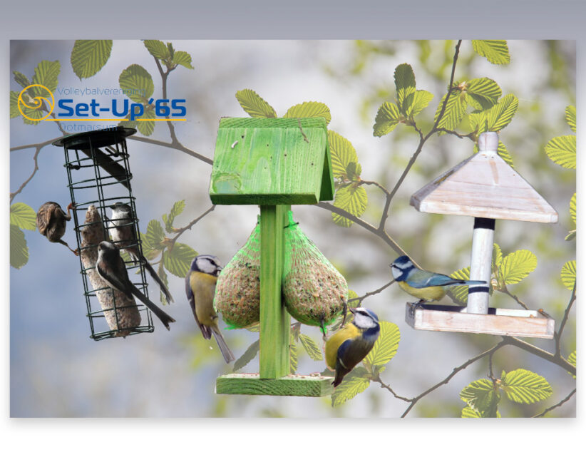 Geslaagde Vogelvoeractie Lammerink Set-Up ‘65