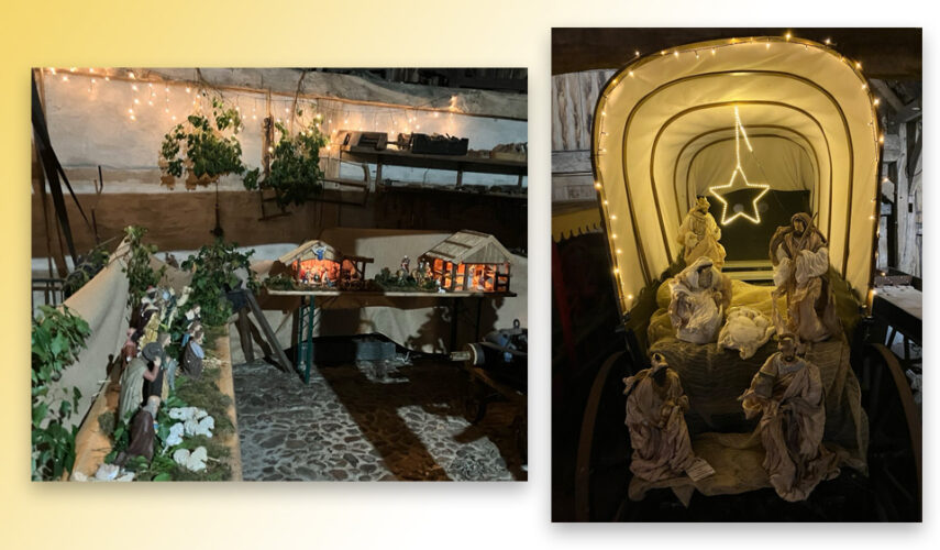 Hoe mooi kan een museum zijn.