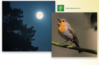 Excursies Staatsbosbeheer in het Springendal