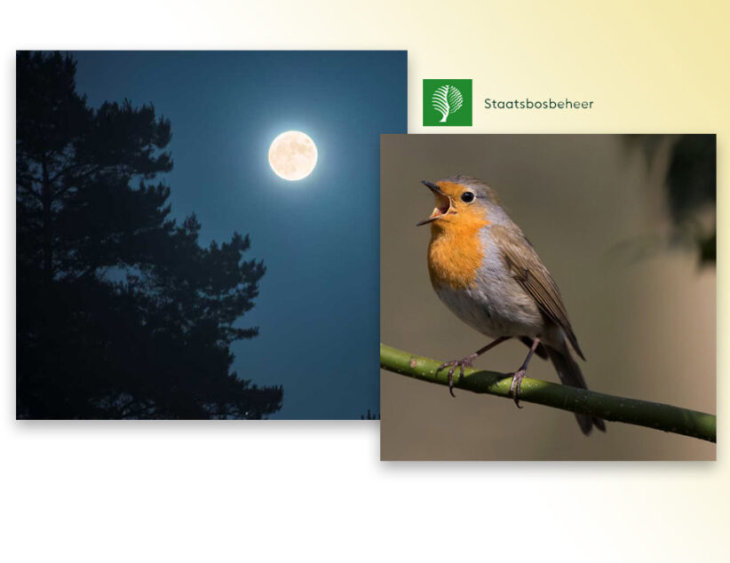 Excursies Staatsbosbeheer in het Springendal