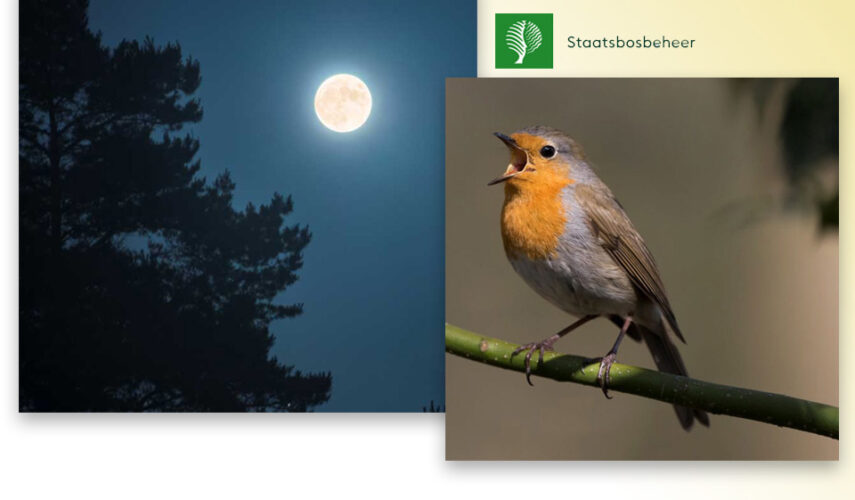 Excursies Staatsbosbeheer in het Springendal