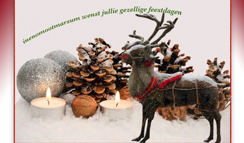 Fijne Kerstdagen