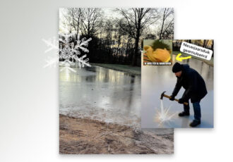 Geen nieuwjaarsduik bij Heintje