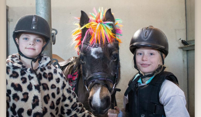 Pony wandelen ouder-kind bij erve Meinders