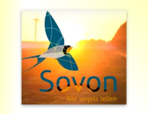 Records en alarmbellen: zeldzame broedvogels in 2025