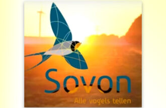 Records en alarmbellen: zeldzame broedvogels in 2025