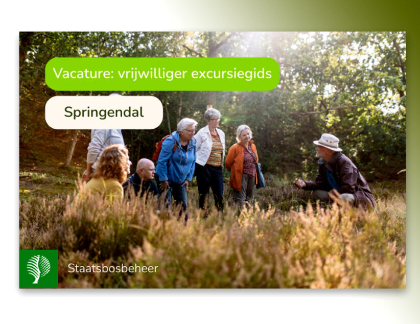 Vrijwilliger natuurgids gezocht in het Springendal