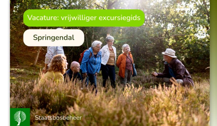 Vrijwilliger natuurgids gezocht in het Springendal