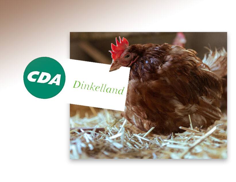 CDA Din­kel­land: ‘Het wordt tijd dat de broedende kip van het nest komt’