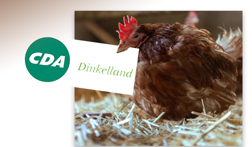 CDA Din­kel­land: ‘Het wordt tijd dat de broedende kip van het nest komt’