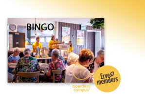 Laat de ballen maar rollen