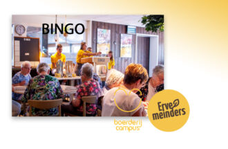 Laat de ballen maar rollen