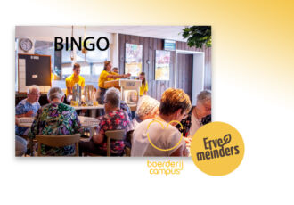 Laat de ballen maar rollen