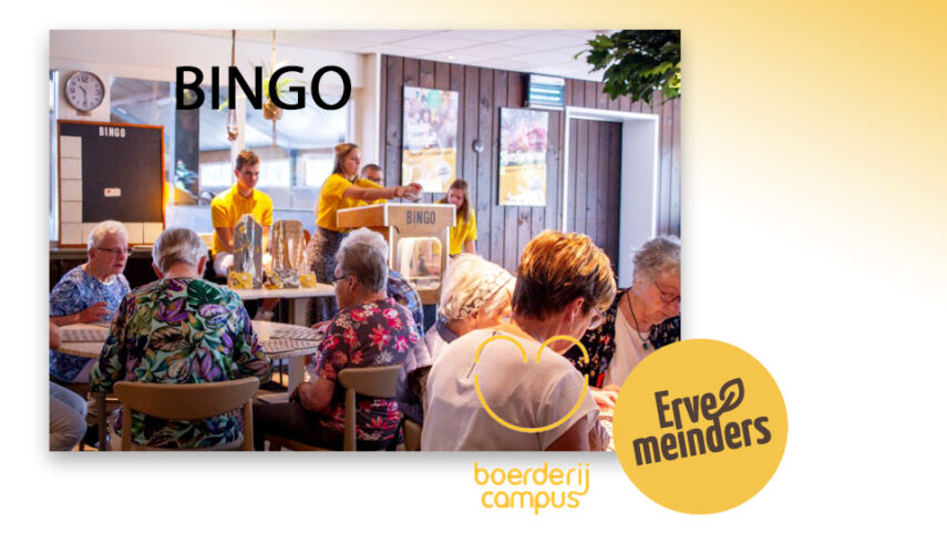 Laat de ballen maar rollen