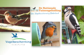 Tel mee voor onze vogels