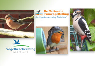 Tel mee voor onze vogels