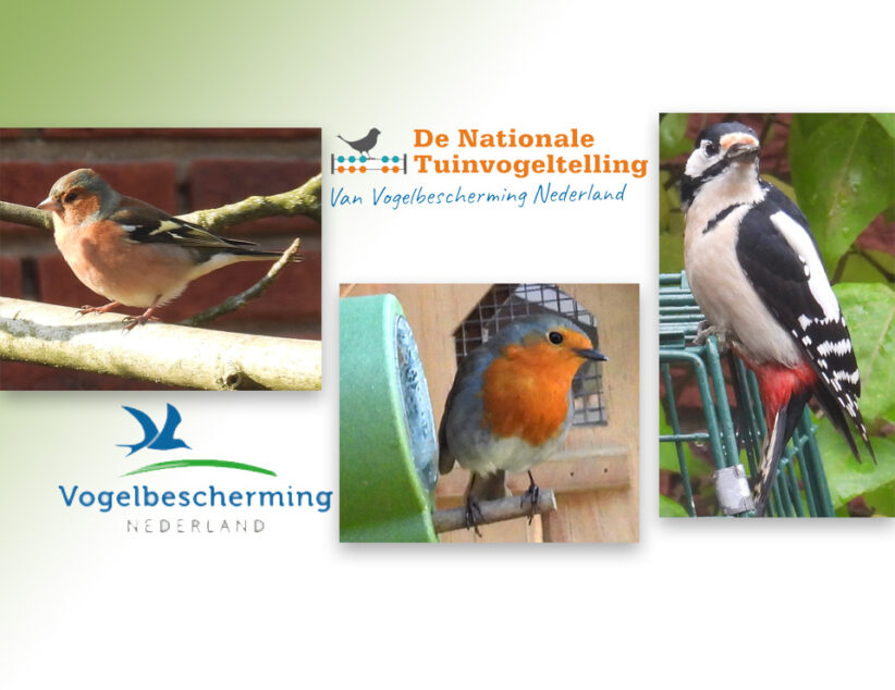 Tel mee voor onze vogels