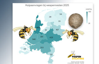Meer dan 1750 wespennesten gered
