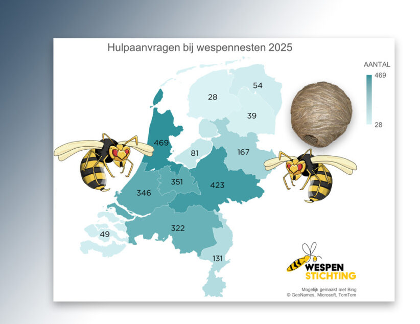 Meer dan 1750 wespennesten gered