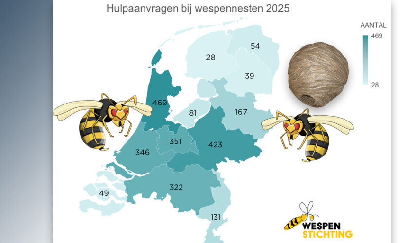 Meer dan 1750 wespennesten gered